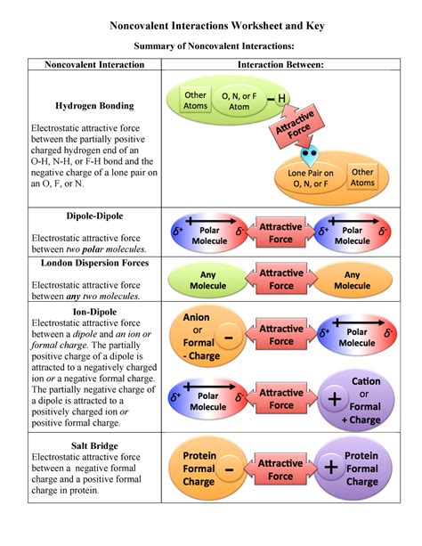 Noncovalent Interactions Worksheet And Key Non Covalent Interactions Worksheet And Key Summary