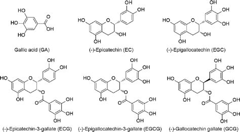 Chemical Structures Of Major Tea Catechins Download Scientific Diagram