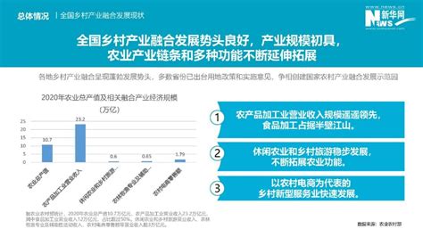 中国乡村振兴产业融合发展报告 河南旅游研究院