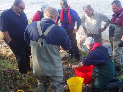 Sea Trout Netting In The Beauly Firth With Mfti Ness And Beauly