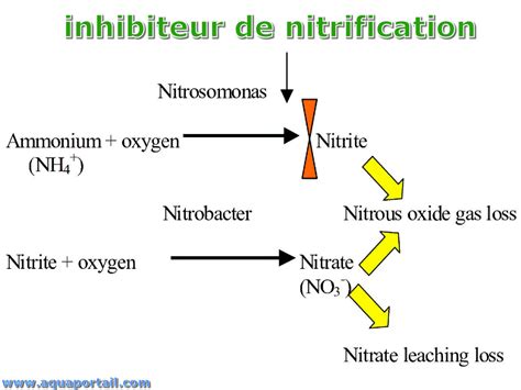 Inhibiteur De La Nitrification Définition Et Explications