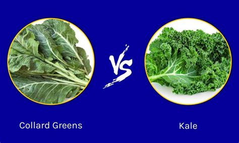 Collard Greens Vs Kale Whats The Difference Wiki Point