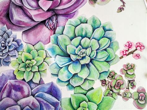 Original Succulent Watercolor Painting Watercolor Succulent Etsy In