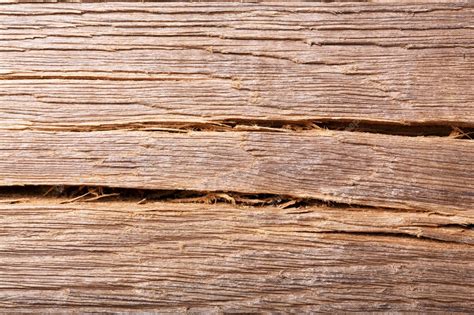 Premium Photo Old Bog Oak Wood Texture Grunge Background