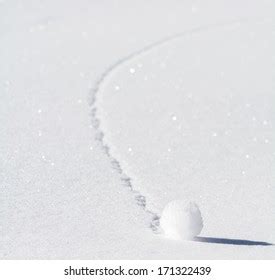 584 Roll Downhill Images, Stock Photos & Vectors | Shutterstock