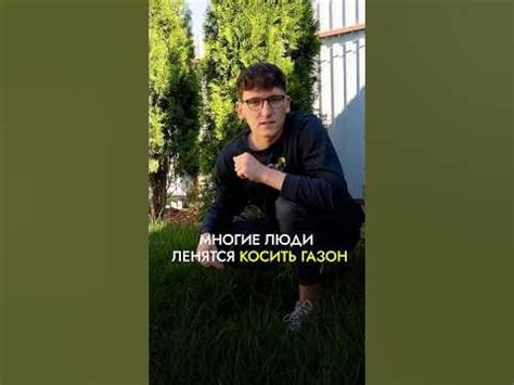 Как испортить газон?Легко! Например, редко косить! Как часто косите ...