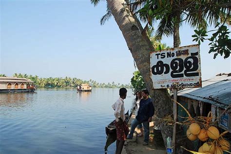 Toddy Shops To Open In Kerala On May 13