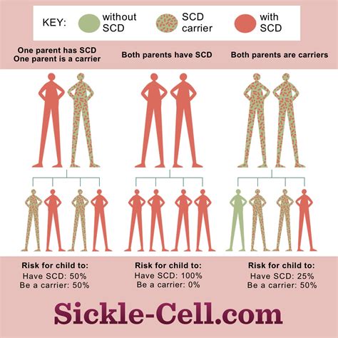 What Causes Sickle Cell Disease