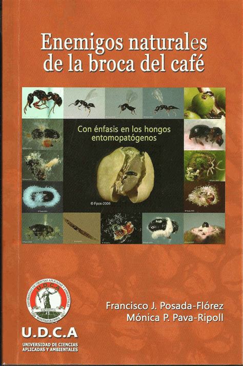 PDF Enemigos naturales de la broca del café con énfasis en los hongos