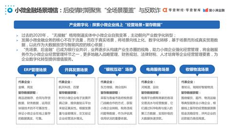 中国普惠小微金融发展报告2020 零壹智库pro