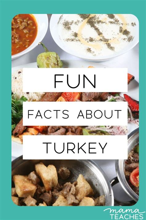 Fun Facts About Turkey - Mama Teaches