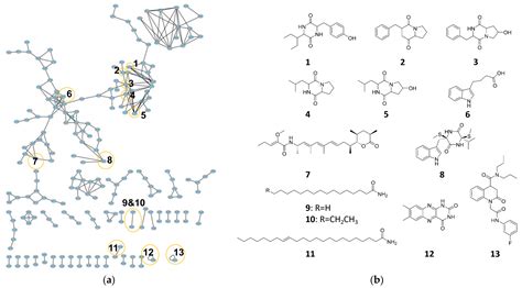 Microorganisms Free Full Text Whole Genome Sequence Analysis Of An