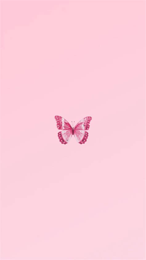 Cute Aesthetic Pink Butterfly Wallpapers Wallpaper Cave