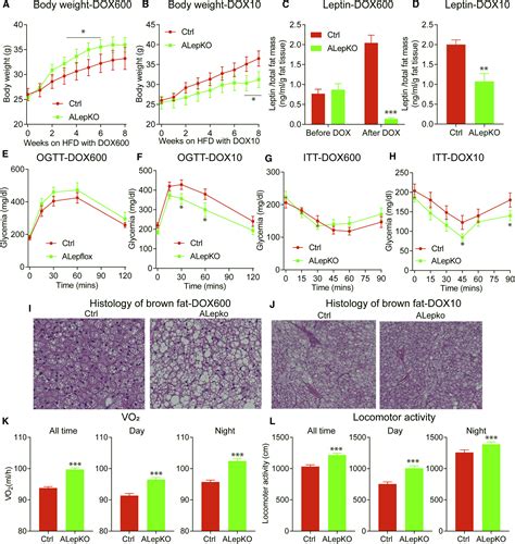 Partial Leptin Reduction As An Insulin Sensitization And Weight Loss