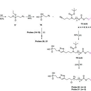 Scheme Synthetic Route For Probes Reagents And Conditions