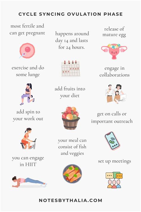 Cycle Syncing Ovulation Phase Infographic Menstrual Health Menstrual Cycle Health And