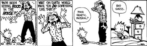 Calvin And Hobbes Calvins Moms 10 Biggest Freakouts