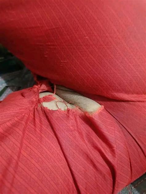 Wife Sharing Porn Pics Nude Women In Free Sex Photos XHamster