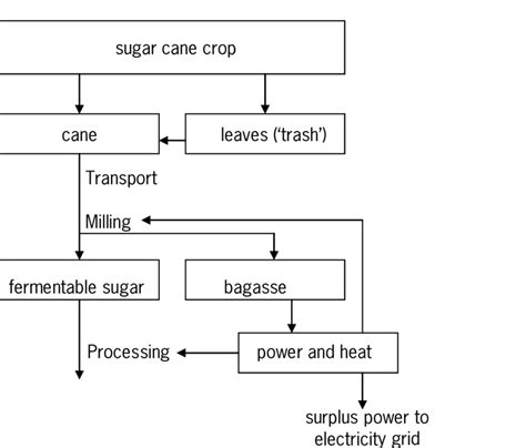 Flow chart for production of fermentable sugar from sugar cane. | Download Scientific Diagram