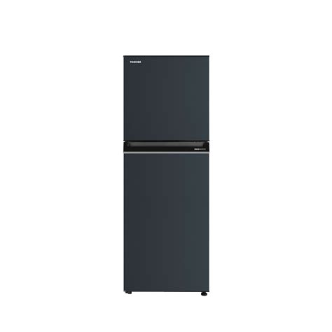 2 Doors Fridge Model Gr Rt303we Pmth52 Toshiba Thailand