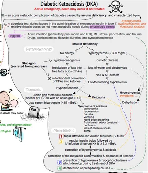 What Is The Difference Between Ketosis And Ketoacidosis Pediaacom