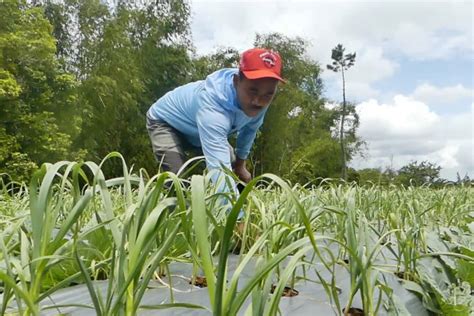 Menkop Ukm Ajak Petani Magelang Gabung Koperasi Petani Antara News