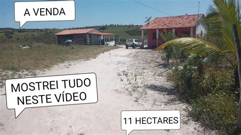 SÍTIO A VENDA EM TACAIMBÓ PE 11 HECTARES YouTube