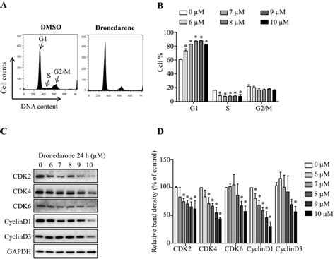 Effect Of Metabolism Mediated By Cyp3a4 3a5 And 2d6 On Download