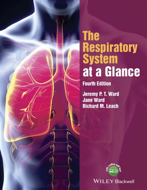 Ward Respiratory System At A Glance