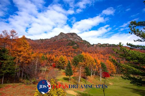 Japan Autumn Leaves Photography Workshop - JAPAN DREAMSCAPES