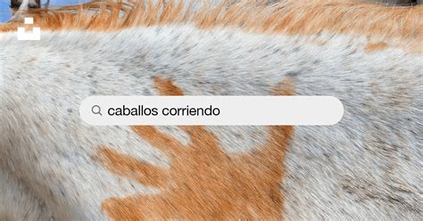Caballos Corriendo Pictures | Download Free Images on Unsplash