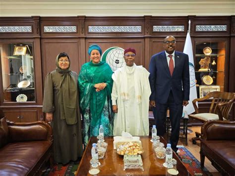 Oic Secretary General Holds A Meeting With The Deputy Secretary General