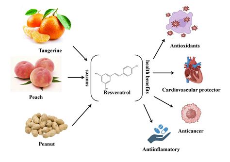 Contributions Of Common Foods To Resveratrol Intake In The Chinese Diet