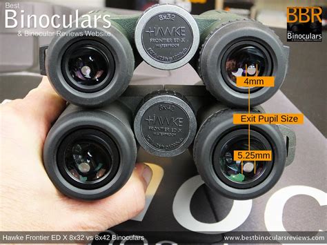 8x32 vs 8x42 Binoculars - Which is Best? | Best Binocular Reviews