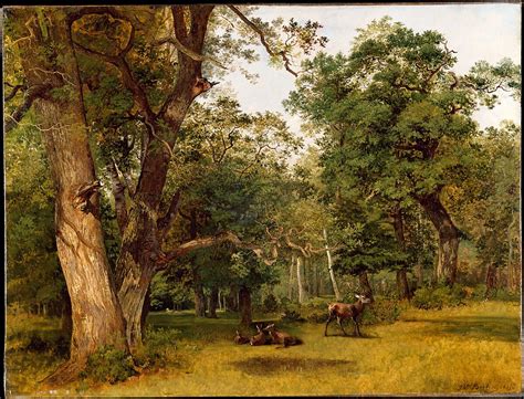 Jean Victor Bertin Deer At The Edge Of A Wood The Metropolitan