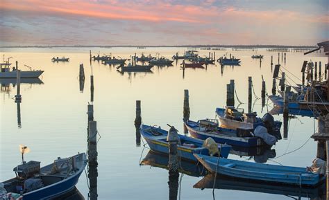 Angolo Di Scardovari Po Delta Contest Concorso Fotografico