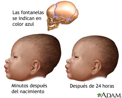 CARACTERÍSTICAS FÍSICAS Y VALORACIÓN NEURO Mind Map