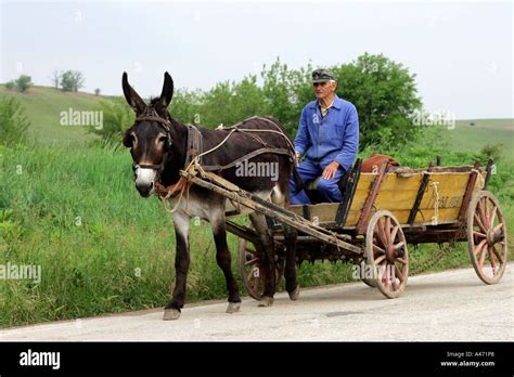 Donkey Cart Stock Photo Alamy