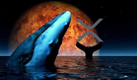 Crypto Whales Moving Millions In Xrp As Google Searches For Crypto