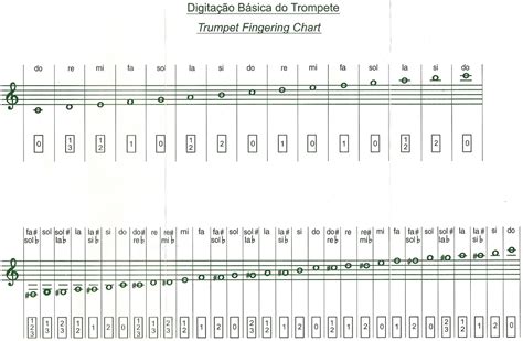 Escala Completa Para Trompete Jeaudio