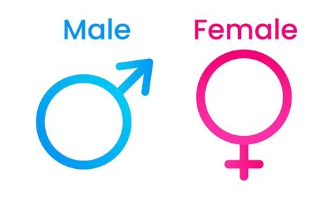 Flat Design Gender Symbols Male And Female 22414357 Vector Art At Vecteezy