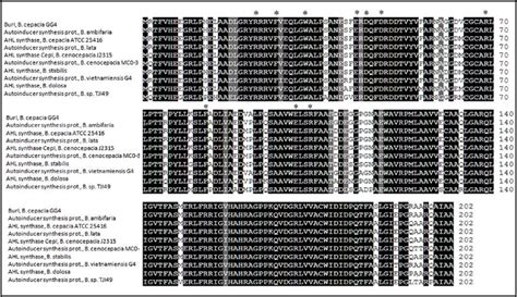 Whole Genome Sequencing Enables The Characterization Of BurI A LuxI