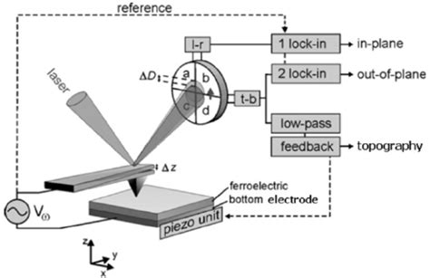 AFM Images Of Monolayer PZT Film A Topography And B Cross Section