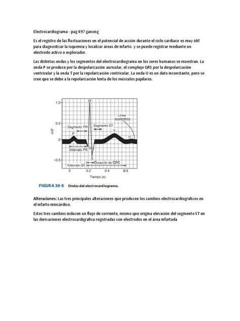 Electrocardiograma Pdf Electrocardiografia Fisiología Cardiovascular