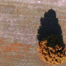 Ocularofferings Nude Patreon Leaks 2025 Fapopedia