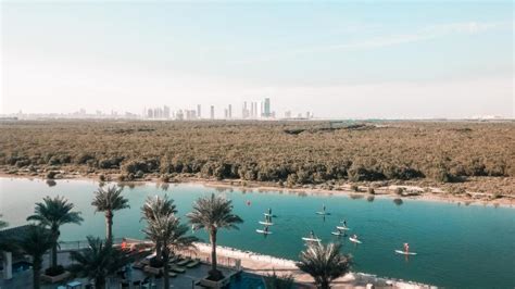 Magical Mangroves: 5 Eco Ways To Enjoy Abu Dhabi's Forests