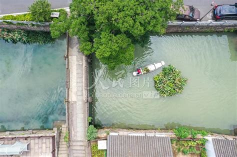 浙江德清：巡河护水 人民图片网