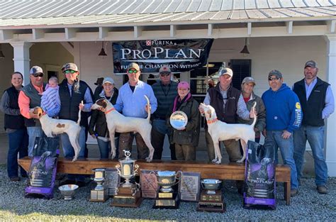 Amateur Field Trial Clubs Of America 2018 2019 National Amateur Free