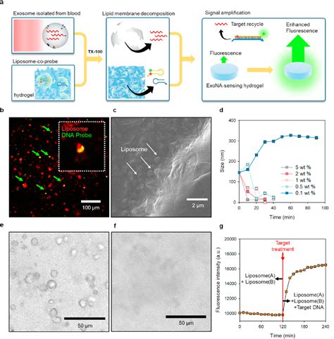 Figure 1 From Microfluidic Device For One Step Detection Of Breast