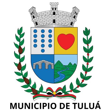 Manual De Funciones Alcald A De Tulu